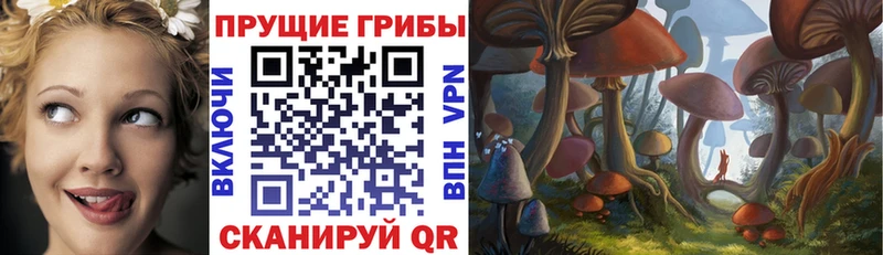 что такое наркотик  Южа  Псилоцибиновые грибы Psilocybine cubensis 